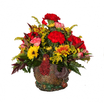             THANKSGIVING SPECIAL            Fresh cut floral arrangement in Penn Yan, NY | Garden of Life Flowers