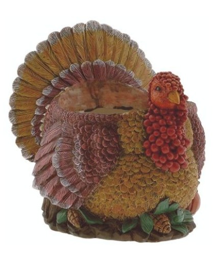 Thanksgiving Turkey Container 