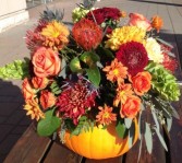 Thanksgiving Show Stopper Fresh pumpkin arrangement