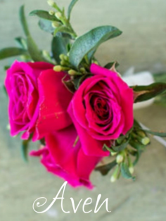 Category Image