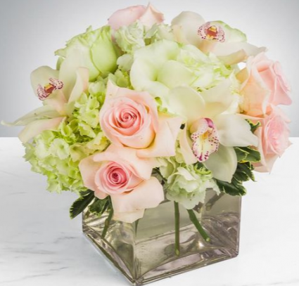  THE BEAUTY OF FLOWERS ELEGANT MIXTURE OF ROSES