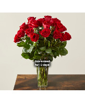 "The Big Ones" - 70 cm Premium Long stem Red Roses vased rose arrangement