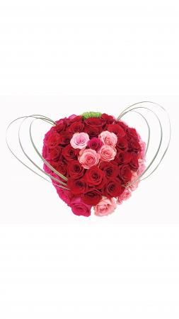 the big true love in Margate, FL | FLOWERS BY PROMOIDEA the big true love in Margate, FL | FLOWERS BY PROMOIDEA