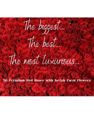 The Biggest and The Best 50 Red Roses