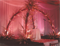 the birdnest wedding arch  ceremony arch 