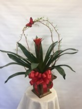 The Bromeliad Single Plant Basket