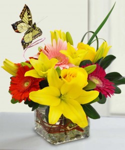 The Butterlilies Spring Flowers