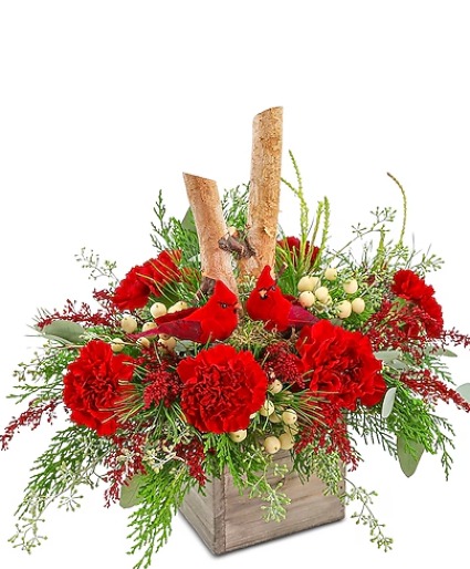 The Cardinals Christmas