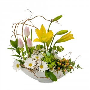 The Catalina Basket