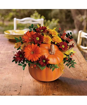 The Country Pumpkin Fall Florals