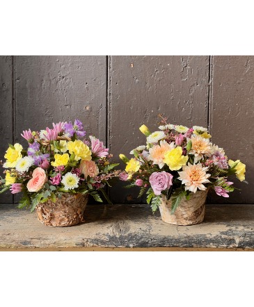 The Crawley Sisters  Spring Collection in Randolph, VT | SALISBURY FLOWER SHOP