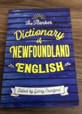 FP11 Flanker Dictionary NL books