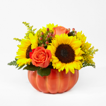 The FTD Harvest Traditions Pumpkin