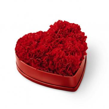 The FTD Heartfelt Carnation Box
