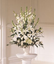 The FTD Morning Stars Arrangement