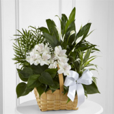 The FTD® Peace & Serenity™ Dishgarden Dishgarden