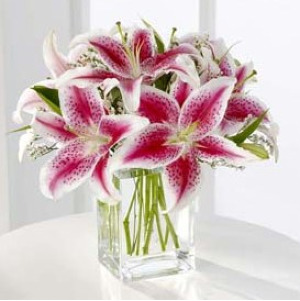 The FTD Pink Lily Bouquet 