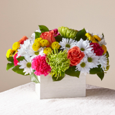 The FTD Sorbet Bouquet 