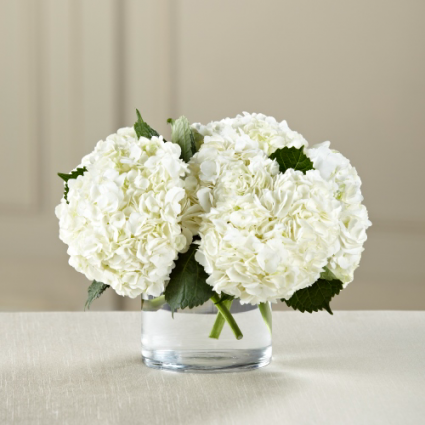 The FTD® White Hydrangea Bouquet 
