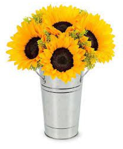 The Galvanized Sun
