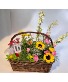 The Garden of Eden  1/2 Plants 1/2 Cut Flower Arrangement - pastels (LGOE)