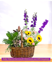 The Garden of Eden 1/2 Plants 1/2 Cut Flower Arrangement