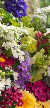 The gift that keeps giving wrapped bouquet subscription