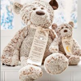 The Giving Bear