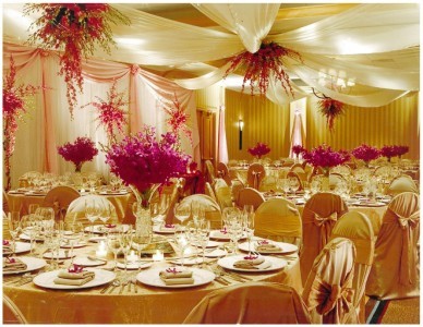 The Golden Orchid Ball