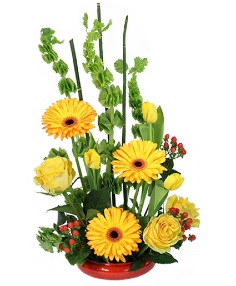 Category Image