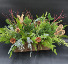 THE GREAT OUTDOORS Holiday Arrangement