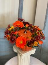The Great Pumpkin 