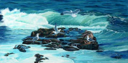 The Gull Rocks Maberly Ed Roche Prints