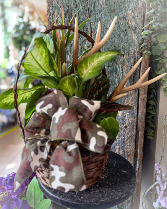 The Hunt is on Dish Garden  Plant
