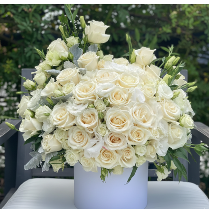 The Immaculate Sphere Funeral Arrangement