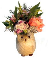 The Little Owl 