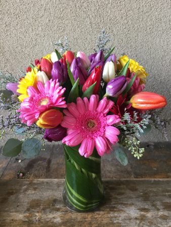 Bright and Colorful