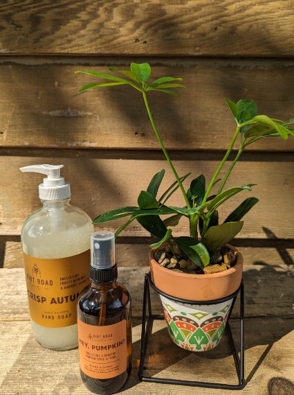 The Loo Bundle Plant, soap, and spray