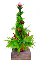 The Magic of A Christmas Tree Christmas 