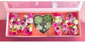 The Momma Donna  Succulent bloom Box 
