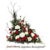 The Nativity Bud & Bloom Signature Arrangement