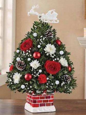 The Night Before Christmas Holiday Flower Tree® Arrangement in Croton ...