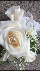 The one and only  Corsage