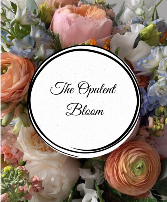 The Opulent Bloom Designer's Choice