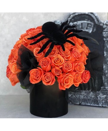 The Orange Spider in Bluffton, SC | Ary Blooms The Orange Spider in Bluffton, SC | Ary Blooms