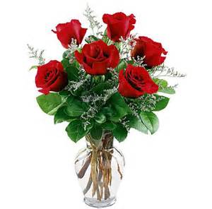 THE PERFECT SIX Roses