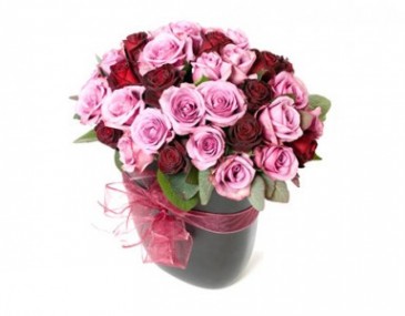 THE PIANO PLAYER SMALL SIZE MIX ROSES