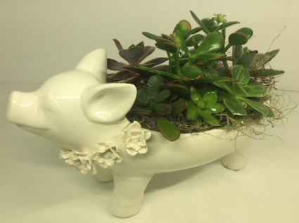 The Pig Planter