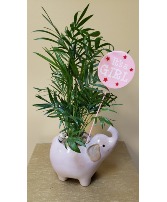 The Pink Elephant Planter Planter
