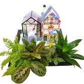 The Plant Shop Design plant